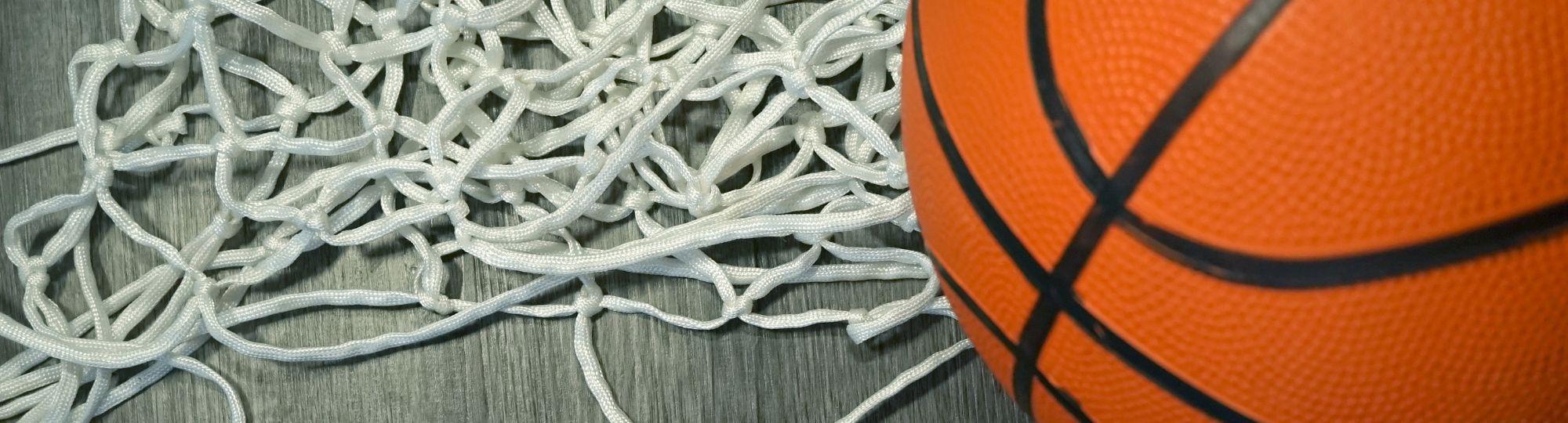 Basketball and net